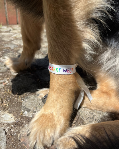 bessere welt | festivalbändchen