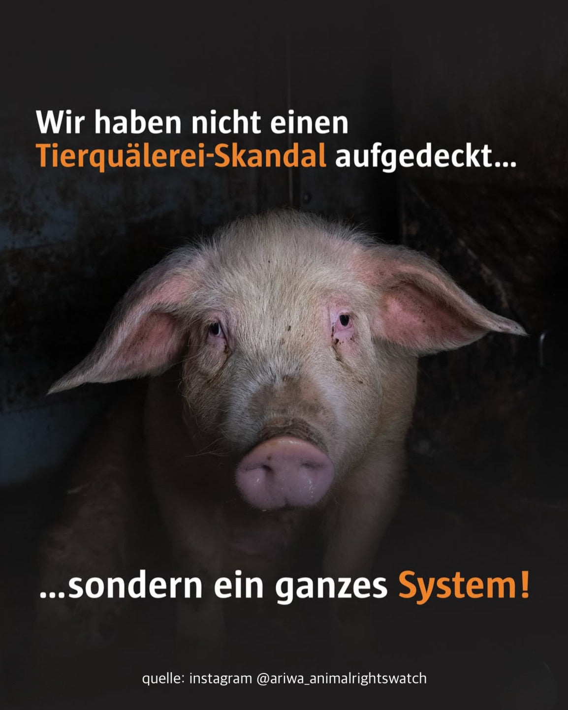 kein hurensohn | sticker