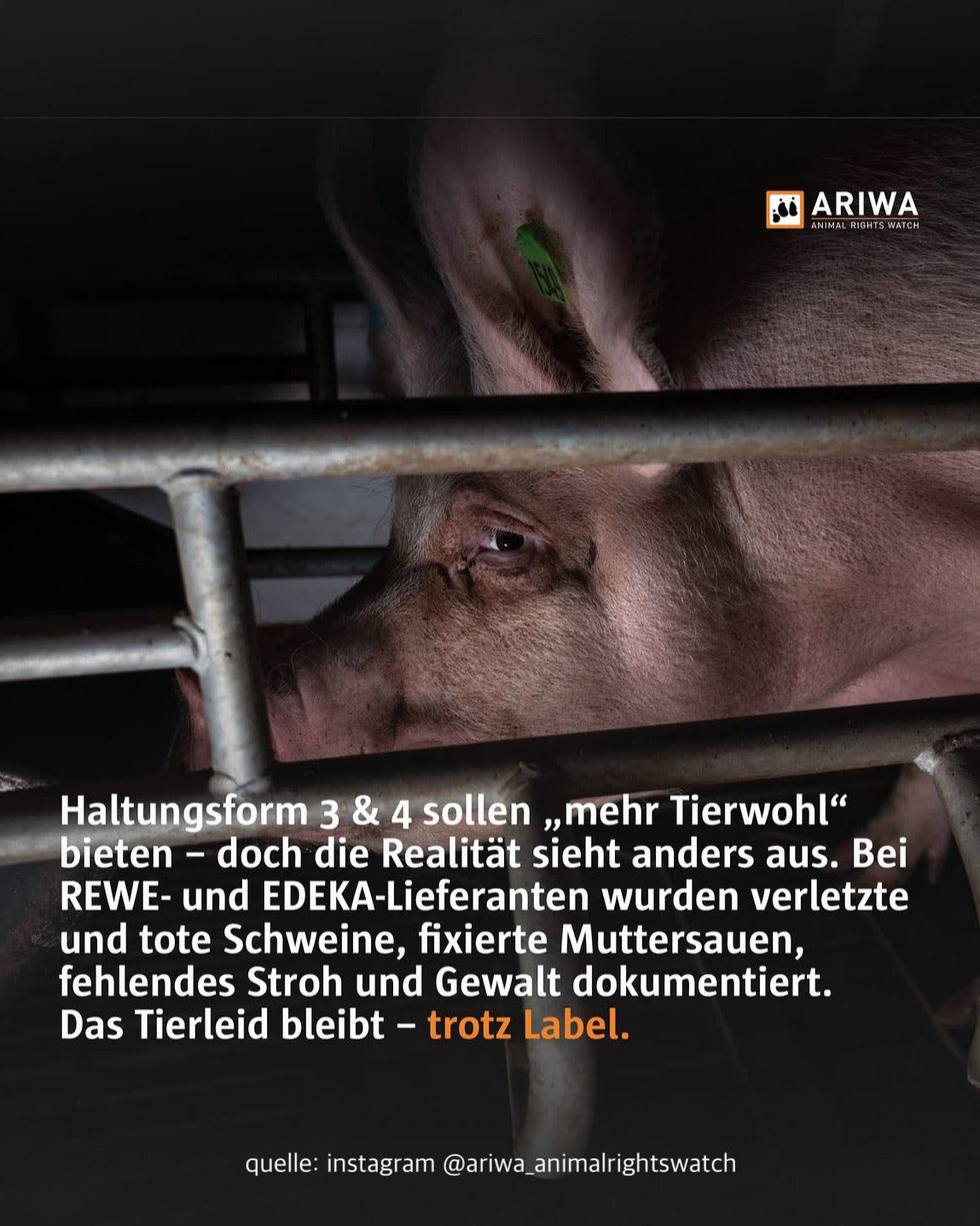 kein hurensohn | sticker